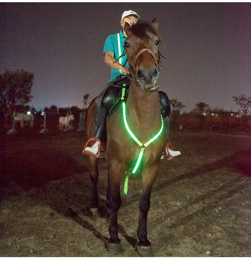 LED Light with Horse Chest Strap Flash