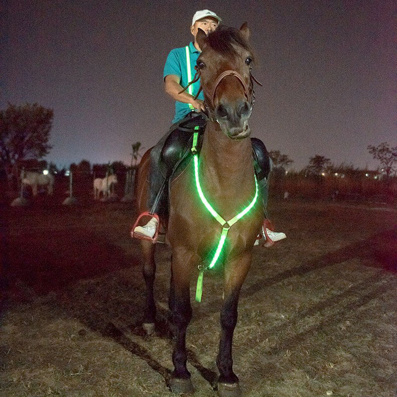 LED Light with Horse Chest Strap Flash