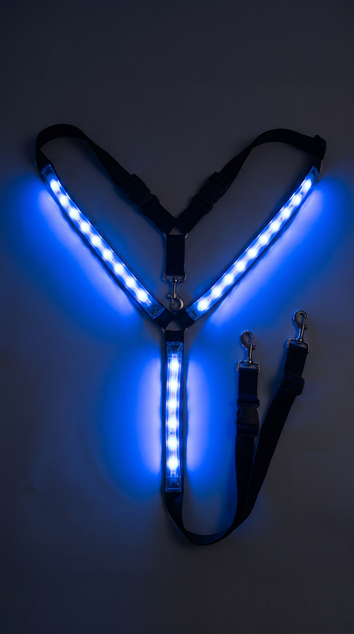 Equilights Glow Chest Strap